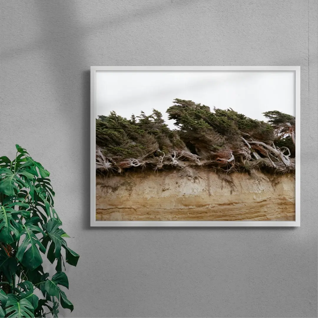Windblown Trees - Image 5